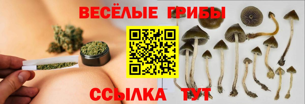 Галлюциногенные грибы мухоморы Тольятти