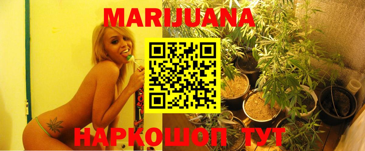 Канабис White Widow  Вход с VPN  Тольятти  МАРИХУАНА планчик  Каннабис план  Шишки марихуана сатива 